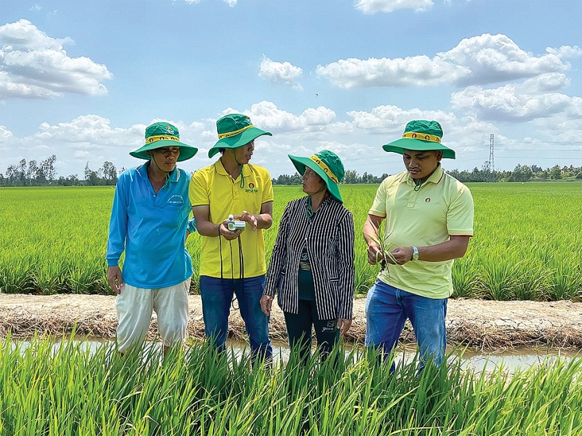 Áp thuế GTGT phân bón 5% lợi ích thiết thực cho nông nghiệp nông dân