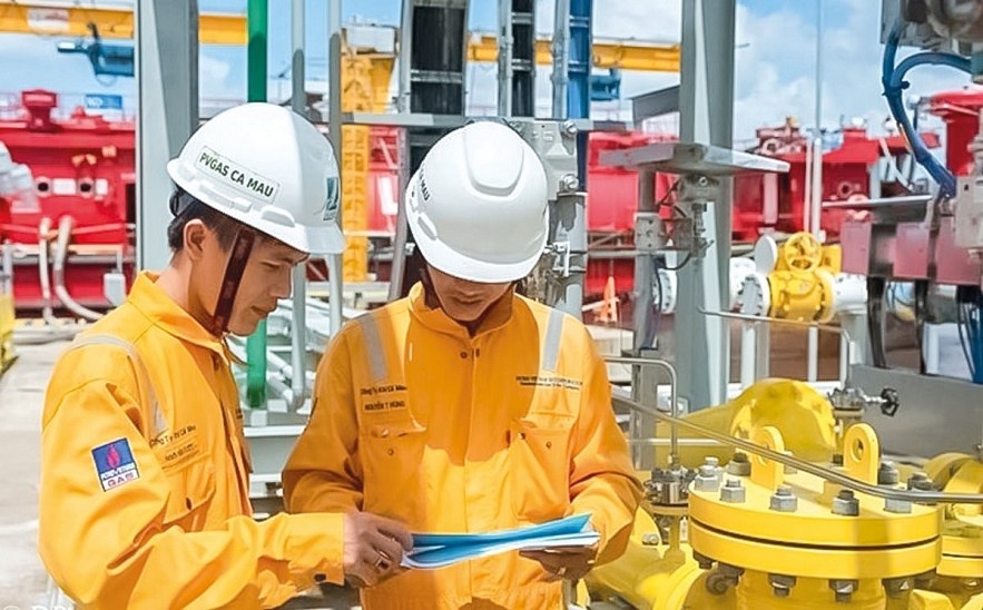 Cần cơ chế đặc thù cho các Tập đoàn chủ đạo trong nền kinh tế